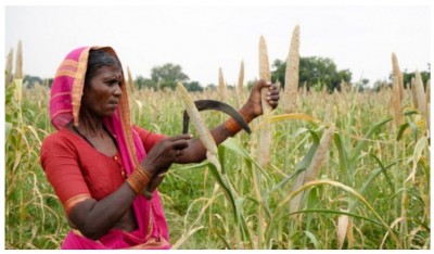 Chhattisgarh launches a Millet Mission under which the state will become a millet hub