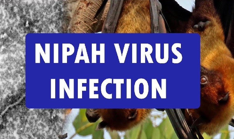 Nipah Outbreak in Kerala: Vital Health Department Recommendations
