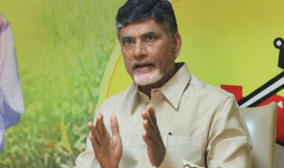 Andhra CM Naidu pledges to promote horticulture and micro-irrigation systems in state