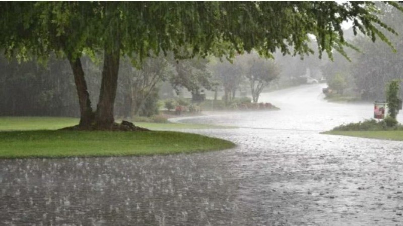 IMD Issues Red Alert for West Bengal, Jharkhand, and Odisha Amid Heavy Rainfall