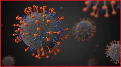 भारत में निपाह वायरस बना स्वास्थ्य के लिए संकट, कोई टीका नहीं और 75% तक मृत्यु दर