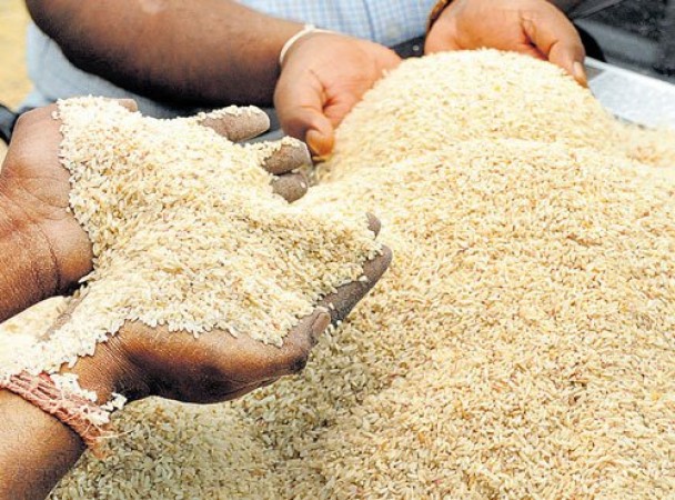 गरीबी रेखा से नीचे (बीपीएल) परिवारों को बांटे जा रहे है 'प्लास्टिक के चावल'