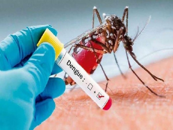 Court reprimands Telangana government for rising dengue cases