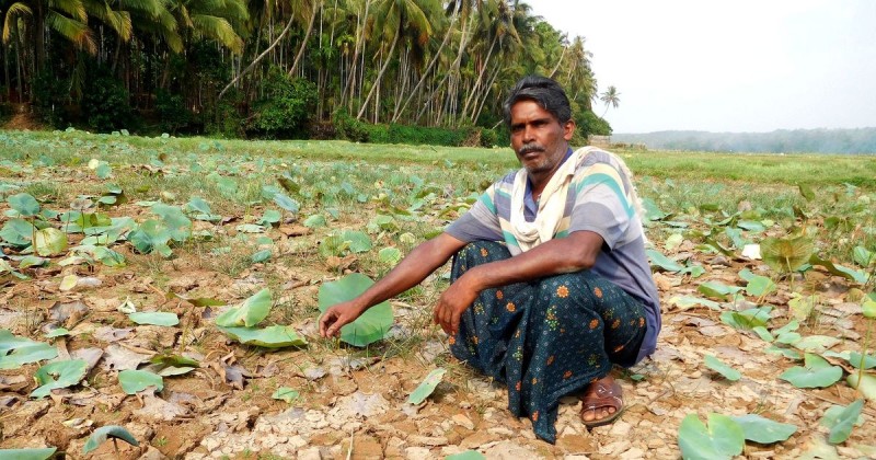 Kerala: Farmer groups to approach SC regarding the Farm Bills