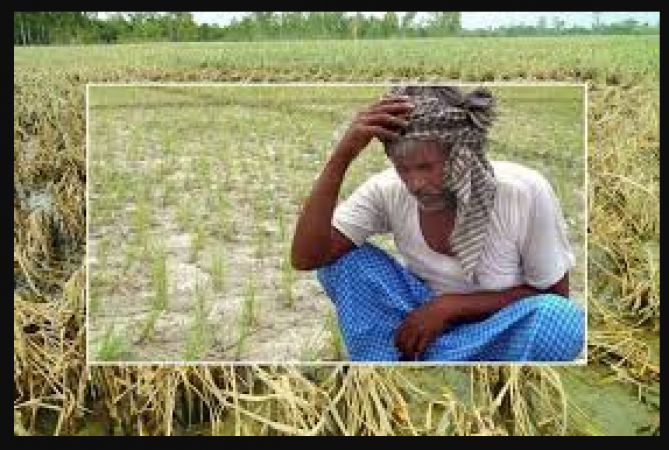 Heavy rains in Andhra Pradesh have caused many crops to be lost, farmers are unhappy