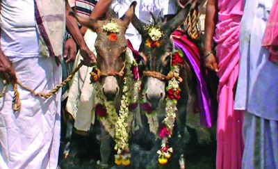 Vasu Dev Kalyan Festival: Wedding of donkeys for rain