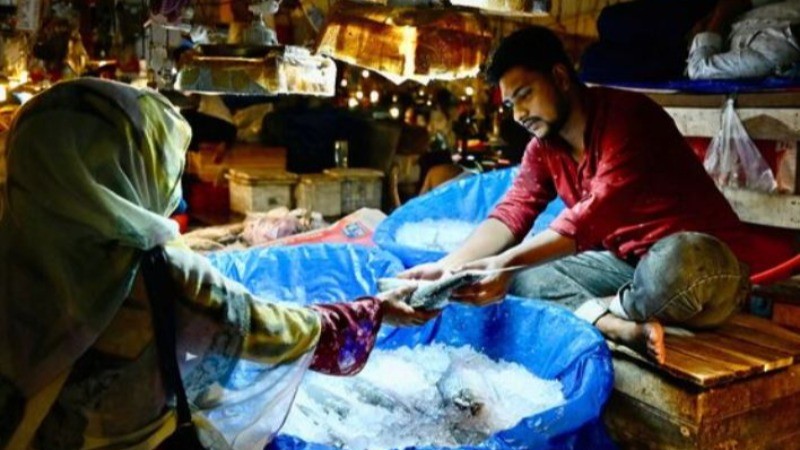 First Consignment of Bangladesh's Padma Hilsa Arrives in West Bengal Ahead of Durga Puja