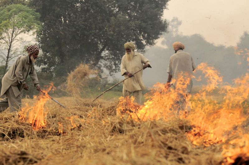 Punjab  Govt.to fight crop fires residue  with red ink in land records