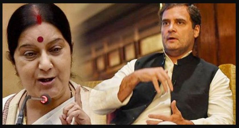 Rahul Gandhi should give up his special protection Group cover: Shushma Swaraj