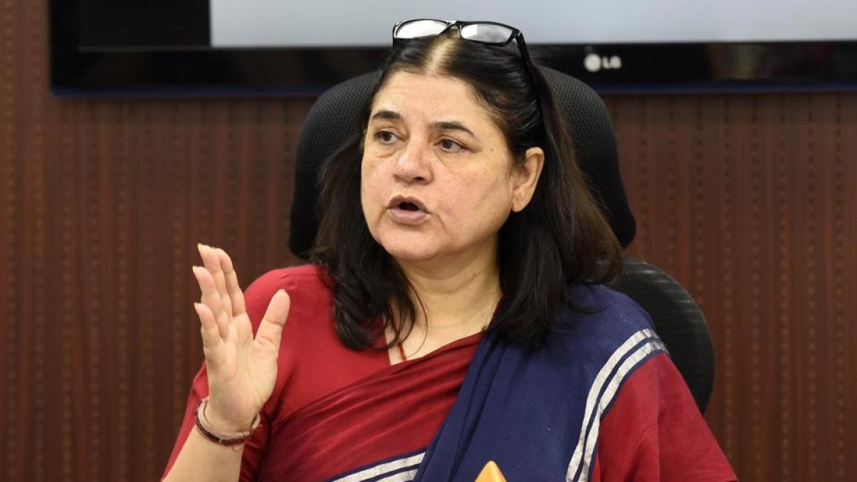 ‘vote for me or else…’ Maneka Gandhi sparks massive row with the controversial remark