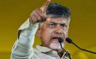 BC developed in socio-economic areas only during TDP government: Chandrababu Naidu
