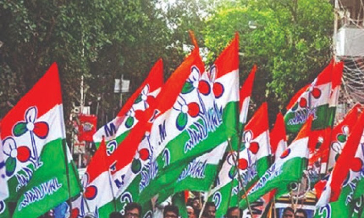 TMC pledges Rs 5,000 to every woman head of house in Goa
