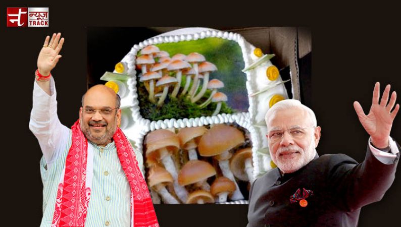 ‘Mashroom Celebration’ in BJP camp as party set to win in Guj and HP