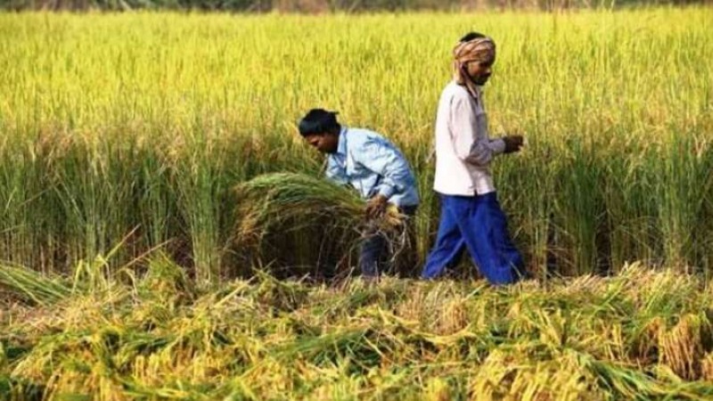 पीएम-किसान योजना की 7वीं किस्त मोदी ने की जारी