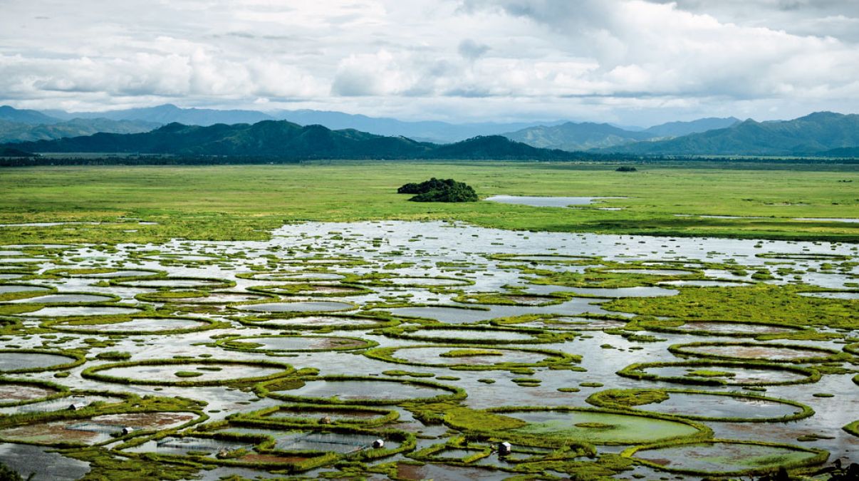 केंद्रीय मंत्री ने मणिपुर में लोकटक झील के रख-रखाव और संरक्षण की समीक्षा की
