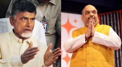 'They are hitting me below the belt' N Chandrababu Naidu on BJP chief Amit Shah's 'theatrics' remark