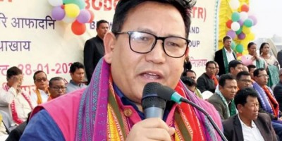 असम विधानसभा चुनाव में यूपीपीएल कम से कम 12 सीटों पर लड़ेगा चुनाव: बीटीसी प्रमुख