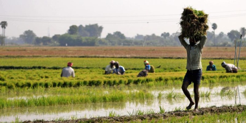 ओडिशा: किसानों ने सरकारों के धान खरीद और दोषपूर्ण टोकन प्रणाली पर किया विरोध प्रदर्शन