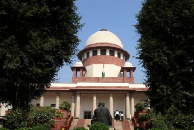 SC asks for report on laying power lines underground
