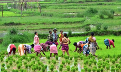 कृषि मंत्री नरेंद्र सिंह तोमर ने की कृषि-इंफ्रा और कोल्ड स्टोरेज के लिए एक लाख-सीआर की घोषणा