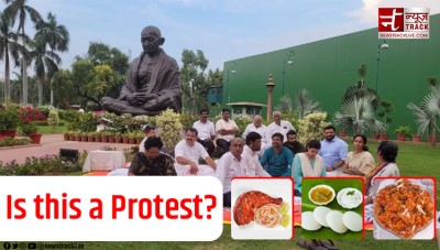 Tandoori Chicken, Idli-Sambar, Gajar Ka Halwa.., Is this opposition's protest?