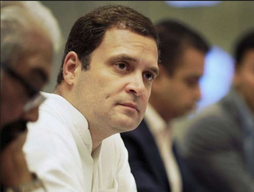 CWC rejects Rahul Gandhi's offer to resign