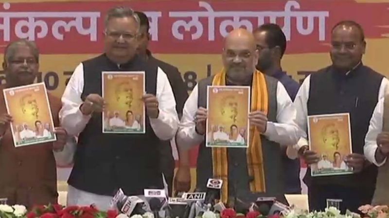 BJP releases manifesto in Chhattisgarh, vows to make Naxal-free state