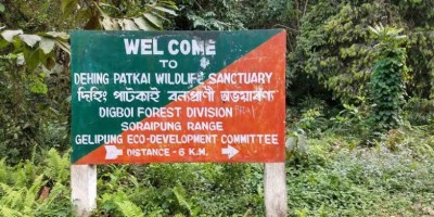 Assam Government decides to increase forest reserve by another  2,000 sq km