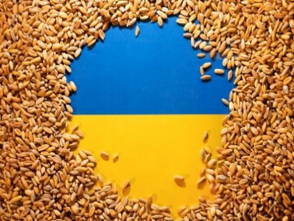 The Polish government forbids the import of Ukrainian grains and foods