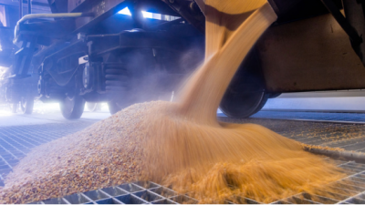 EU comments on the ban on Ukrainian grain by Poland and Hungary