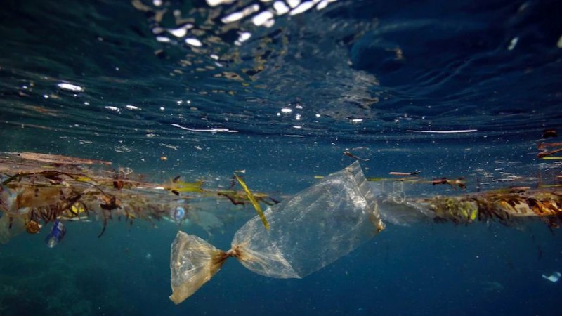 Germany and India sign accord on cities combating plastic entering marine environment