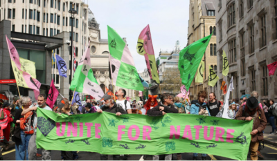 Thousands accumulate outside the British Parliament In an anti-biodiversity protest