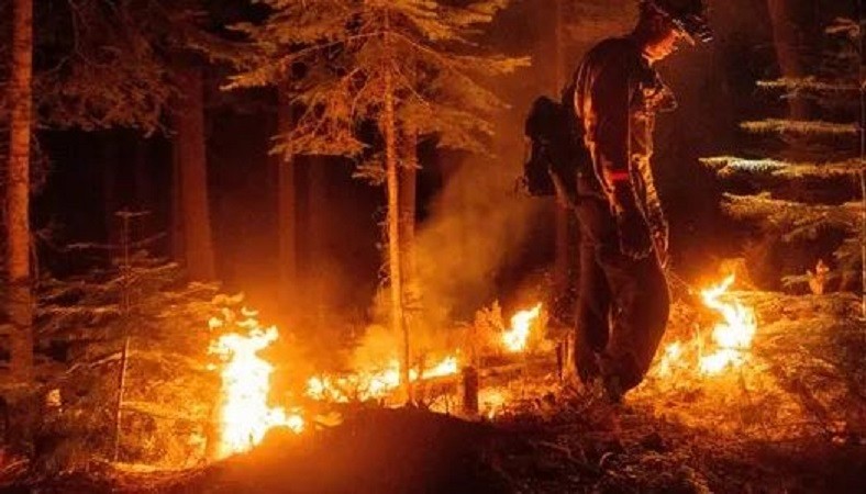 कैलिफोर्निया में आग के कारण जलकर खाक हुआ 244,000 एकड़ जंगल: रिपोर्ट्स