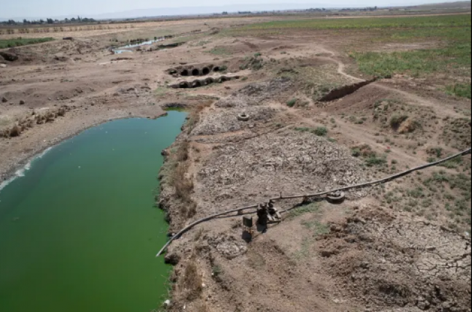 Fishermen's Cry for Help: Syria's Rivers Suffer Pollution and Water Loss, Threatening Livelihoods