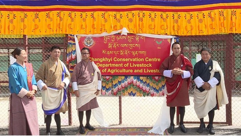 Bhutan Inaugurates Conservation Centre to Protect Native Dog Breed Changkhyi