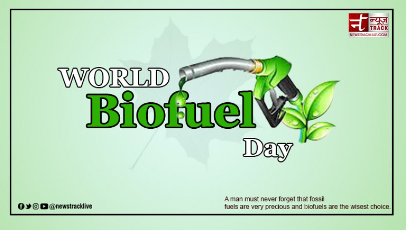 World Biofuel Day: Paving the Way Towards a Sustainable Future