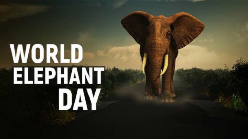 Preserving the Giants of the Land: World Elephant Day on August 12