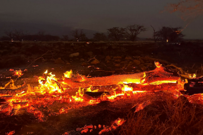 53 people have died in Maui fires, with more likely to come, according to the governor