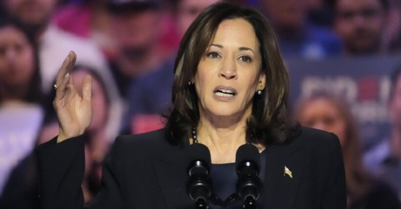 Kamala Harris Event Disrupted in NYC: What This Means for Chicago's DNC