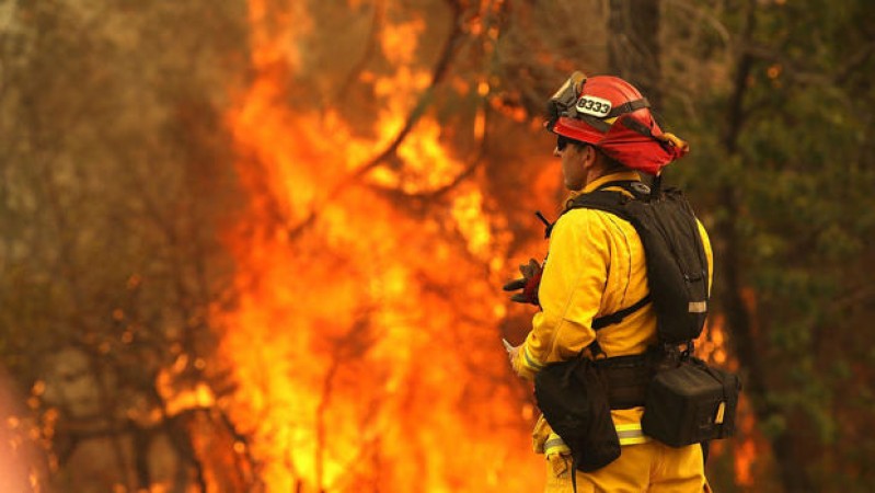 आखिर किस वजह से प्रतिवर्ष कैलिफोर्निया के जंगलों में लग जाती है आग