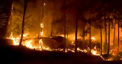ग्रिजली फ्लैट्स के पास जंगलों में भड़की आग, खौफनाक हुआ मंज़र