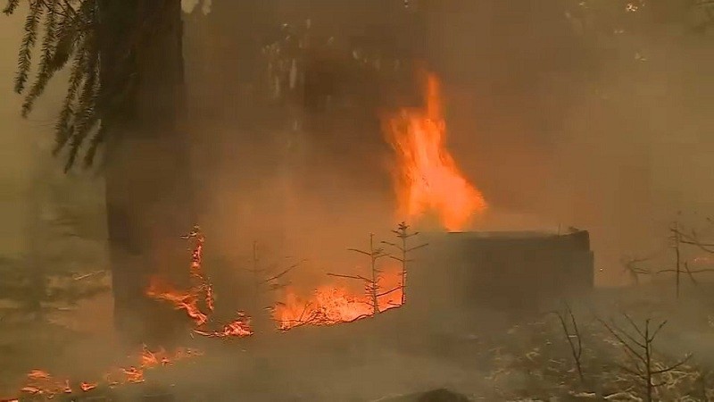 कैलिफोर्निया ने की बिडेन से जंगलों में लगी आग को काबू करने के लिए सहायता की अपील