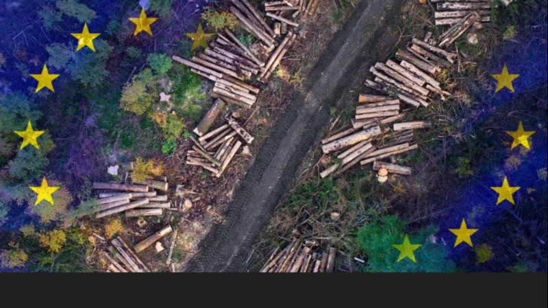 EU Postpones Deforestation Ban Amid Ongoing Controversies