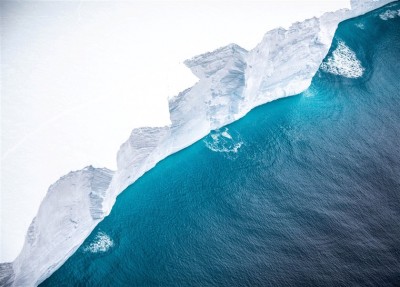 World's largest iceberg may strike island this month,Penguins at risk