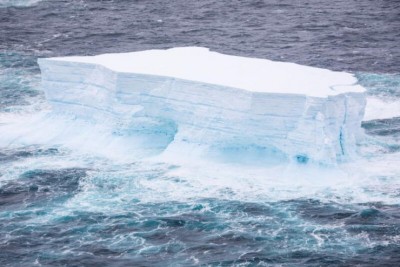 अंटार्कटिक हिमशैल की दक्षिण जॉर्जिया द्वीप से हो सकती है टक्कर