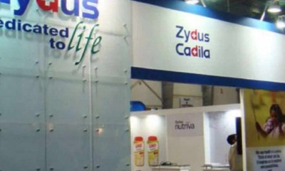 Zydus Cadila वैक्सीन चरण I और II परीक्षणों को किया गया सुरक्षित