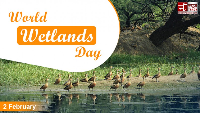World Wetlands Day 2023, History, Theme & Wishes