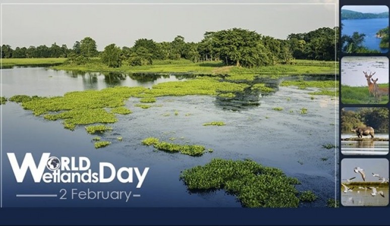 World Wetlands Day, 2 February 2021