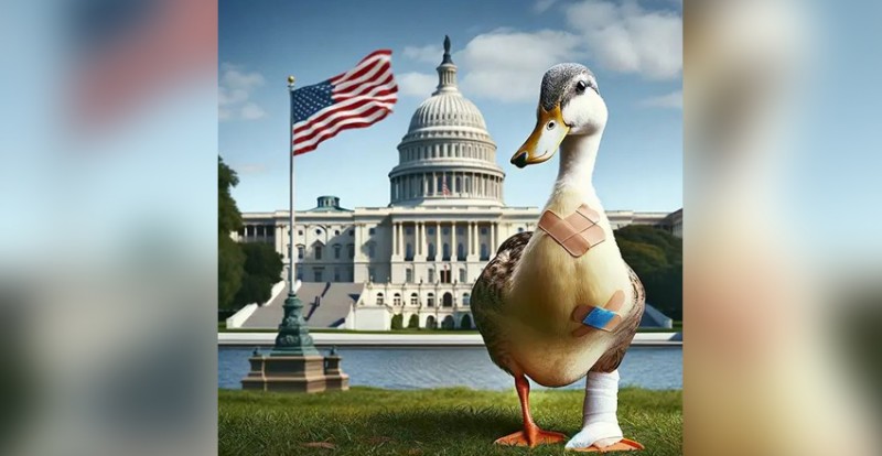 US National Lame Duck Day: Reflecting on Transition and Governance