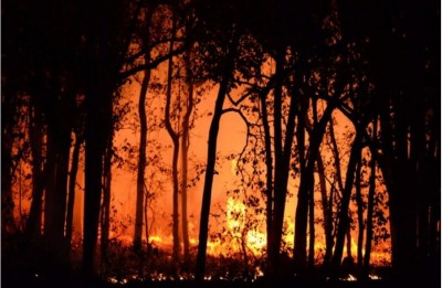 Deadly Wildfires Ravage Central Chile, President Declares State of Emergency